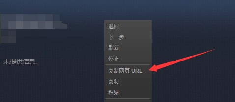 如何查看自己的steam ID?steam 17位数字ID详细查看教程