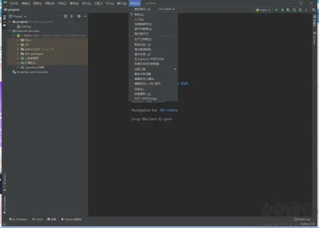 Pycharm2020.2中文包