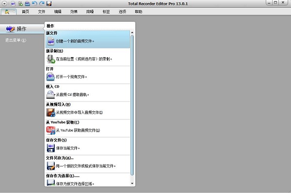 Total Recorder Editor Pro汉化破解版
