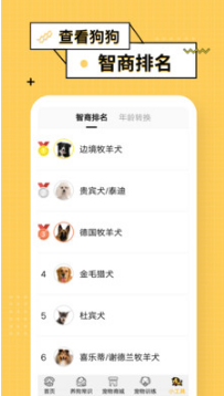 狗语翻译器APP