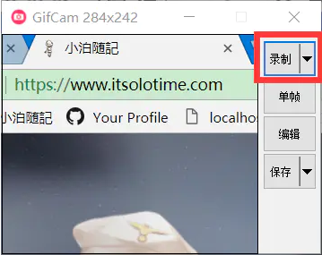 GifCam绿色版下载