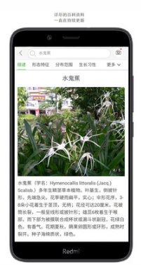 拍照识花APP