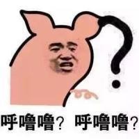 问号表情包?