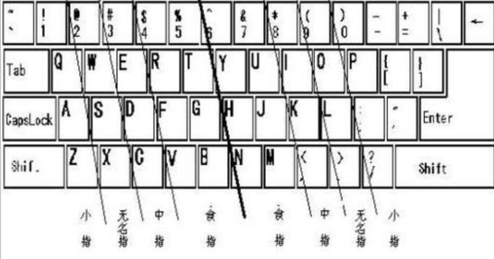 练习打字的软件下载