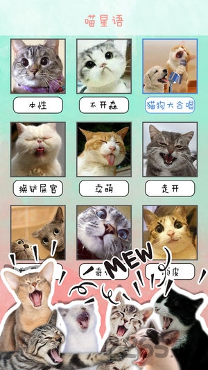 猫语翻译器APP