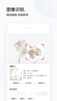 简单搜索APP