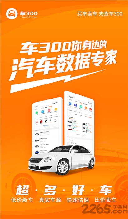 车300大众版APP