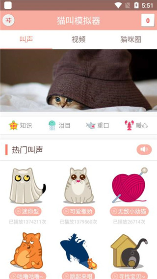 猫叫模拟器APP