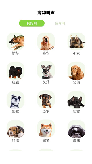 狗语翻译器APP