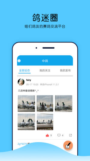 中鸽网APP