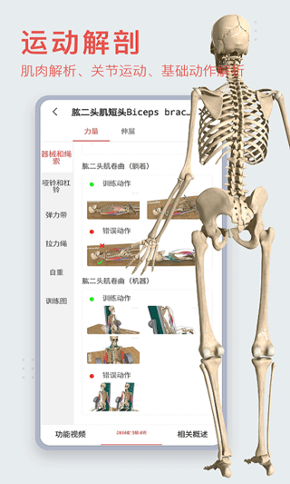 3dbody下载