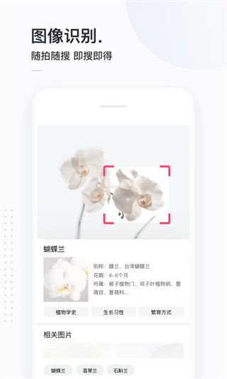 简单搜索APP