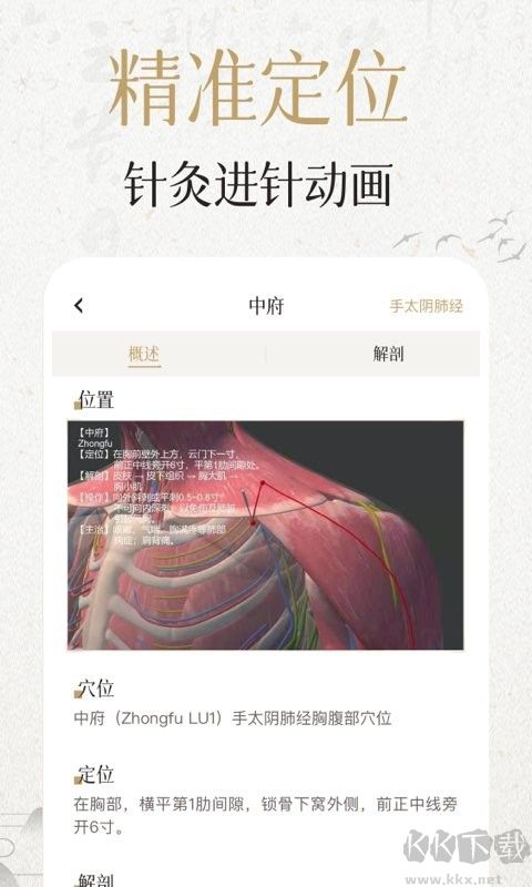 中济经络穴位App手机版