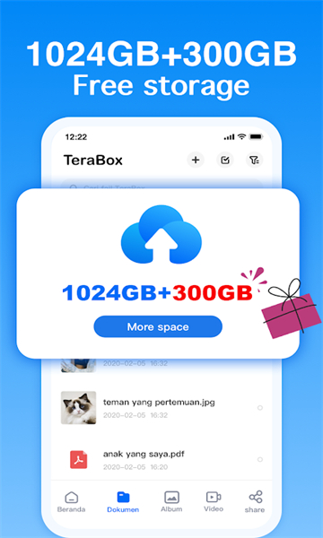 TeraBox(百度网版国际版)