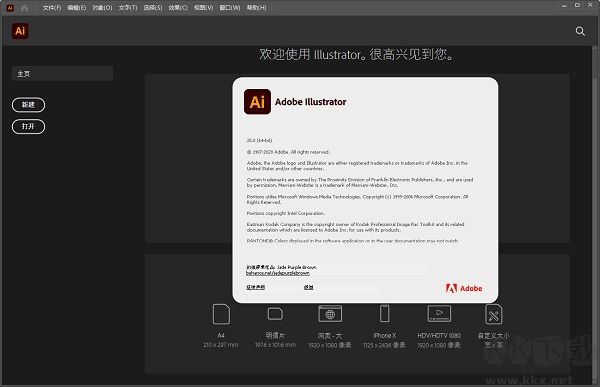 Adobe Illustrator 2021-AI 2021中文破解直装版(附安装教程)