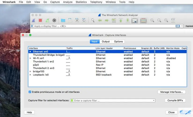 Wireshark Portable(网络抓包工具)