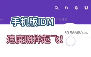 IDM下载器手机版下载-IDM下载器手机版/破解版/解锁付费版-IDM下载器手机版合集