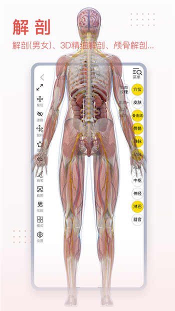 3Dbody解剖解锁会员版