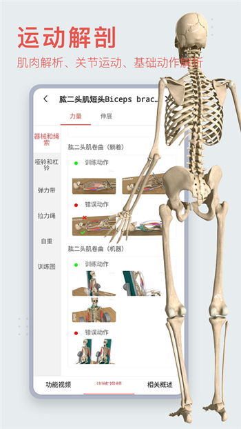 3Dbody解剖解锁会员版