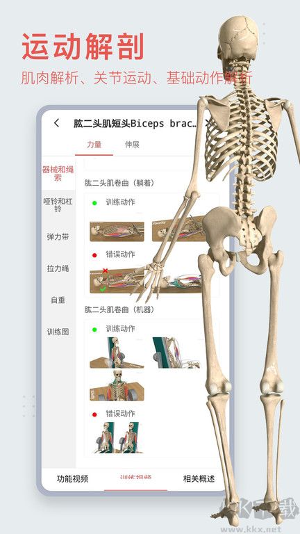 3Dbody2023免费使用