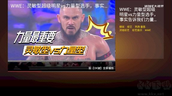 wwe大视界TV版