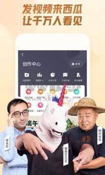 西瓜视频APP