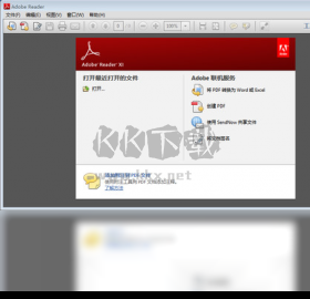 Adobe Reader XI