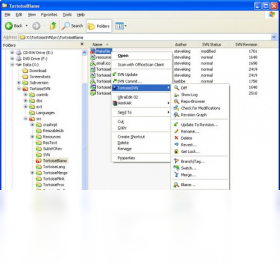TortoiseSVN