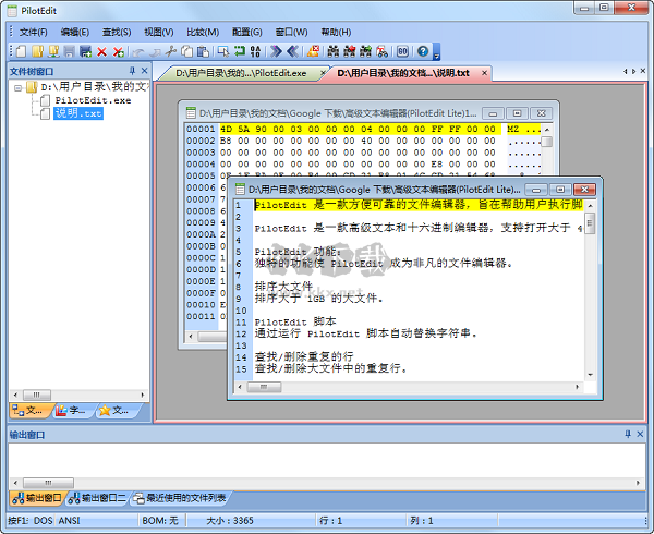 PilotEdit Lite精简版