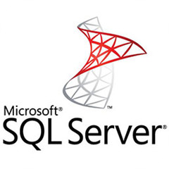 SQL Server2000(数据库管理工具) v2000