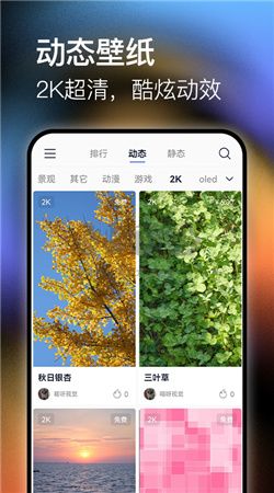 极壁纸app官方版下载