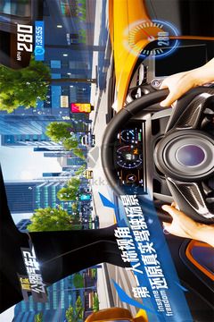 真实公路汽车2