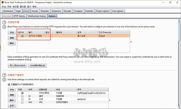 burpsuite最新官方版