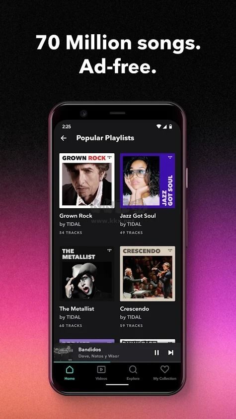 TIDAL(潮汐)音乐app安卓版