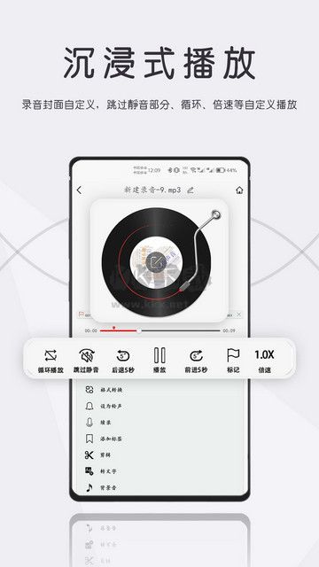 大录音师正版