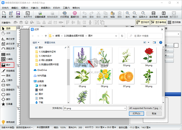 神奇条码标签打印系统标准版