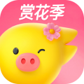 飞猪旅行app安卓版 v9.9.0绿色版