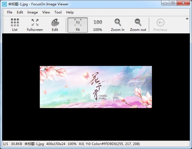 FocusOn Image Viewer(图片浏览软件)