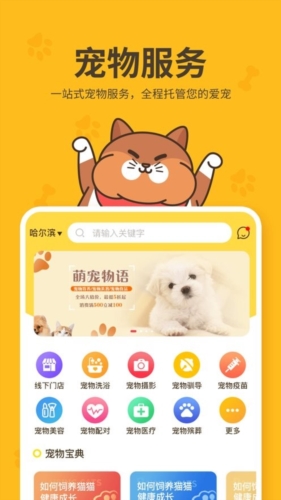 哈奇马app2