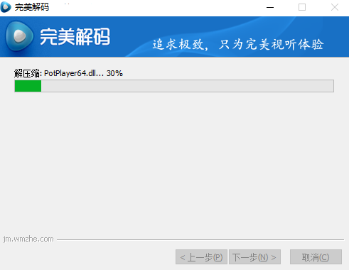 完美解码电脑版