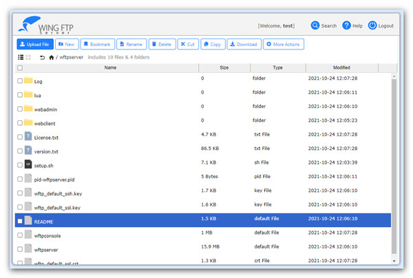 Wing FTP Server正版