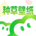 种草壁纸app绿色版 v12.0专业版