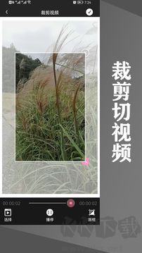 水印王官网版