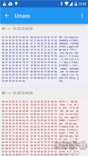 Packet Capture(网络抓包工具)