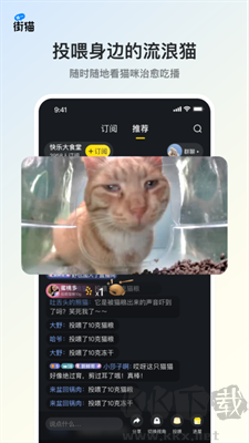 街猫(超有趣的云养猫)