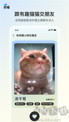 街猫(超有趣的云养猫)