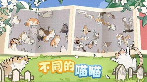 挤在一起的猫猫去广告版