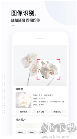 简单搜索浏览器app