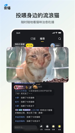 哈啰街猫流浪猫app安卓版