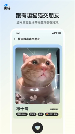 哈啰街猫流浪猫app安卓版